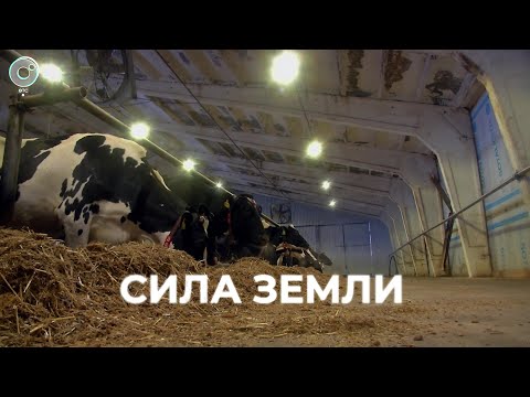 Видео: Программа "СИЛА ЗЕМЛИ" | 08 апреля 2023 | Телеканал ОТС