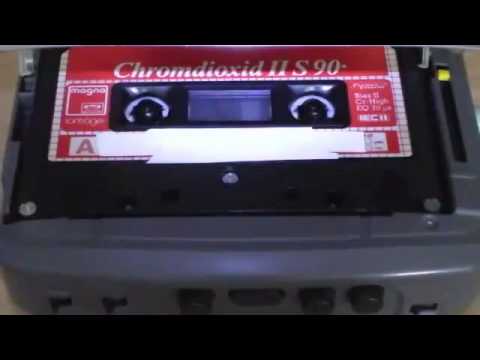 Видео: В Давидзон Трудности эмигрантов1996