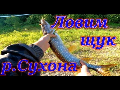 Видео: Ловля щуки на спиннинг на реке Сухона...