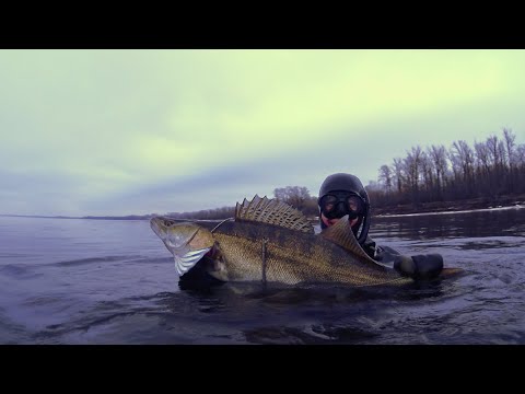 Видео: Весна. Успевай нырять!