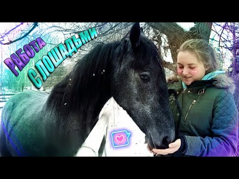 Видео: Снова с лошадьми? Как я попала на ИППОДРОМ? 😍👀