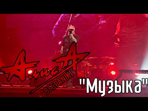 Видео: 05.09.25 - АлисА - "Музыка" - KkinchevFest - МУЗПОРТ