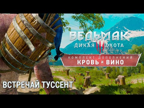 Видео: Ведьмак 3: Дикая Охота  ТУССЕНТ НА ТУСЕ С БЕСТИЕЙ