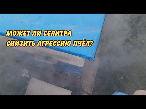 Видео: пчеловодство может ли селитра снизить агрессию пчел