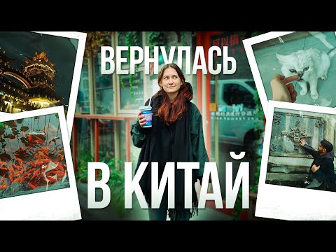 Видео: Перелет из Питера, новая квартира и первые дни в Китае 🇨🇳 // таин_влог