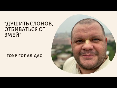 Видео: ДУШИТЬ СЛОНОВ, ОТБИВАТЬСЯ ОТ ЗМЕЙ