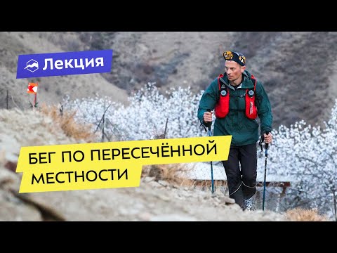 Видео: Бег по пересечённой местности. План самостоятельных тренировок