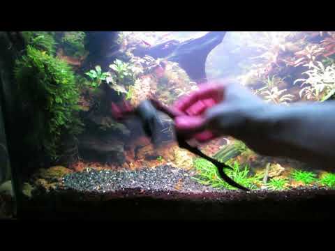 Видео: Акваскейп 120 литров. Добиваюсь "глубины"!