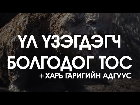Видео: [ХУУЧ ЯРИА#18] Үл үзэгдэгч болгодог тос / Харь гаригийн адгуус