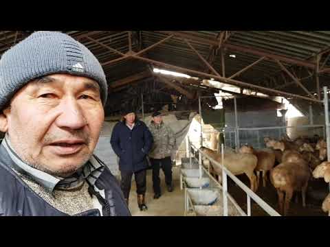 Видео: Истории успеха "Никогда не поздно" Арсланбек байке. Анвар Рустемов +77017224679(ватцап)