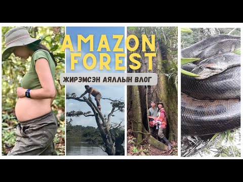 Видео: АМАЗОНЫ ШИРЭНГЭН ОЙД АЯЛСАН НЬ - Babymoon Trip @Ecuador Cuyabeno Wildlife Reserve