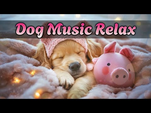 Видео: Исцеляющая музыка для собак 🐾 12 часов спокойного сна и релаксации  🐶 Расслабь собаку