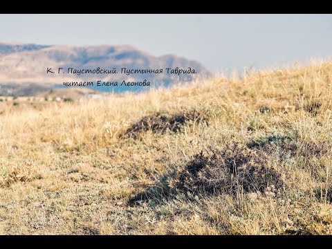Видео: К. Г. Паустовский. Пустынная Таврида. Читает Елена Леонова