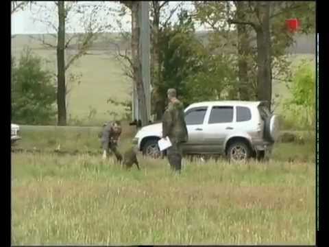 Видео: Ни пуха ни пера (Эпизод 3)