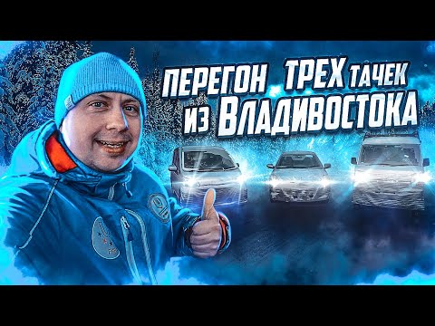 Видео: Перегон трех авто из Владивостока / @VladTD