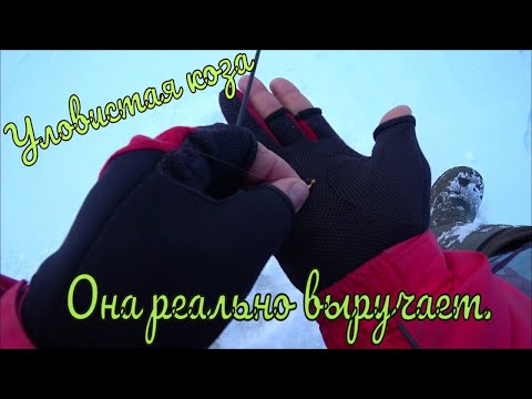 Видео: Коза рулит.Нам много и не надо .В марте на жерлицы.