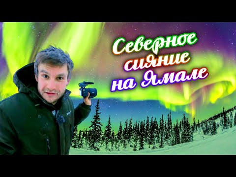 Видео: Ямал. Охота за Северным сиянием
