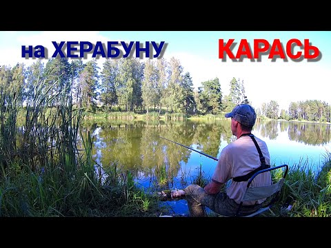 Видео: КАК ПОЙМАТЬ ХИТРОГО КАРАСЯ. Рыбалка на тесто ХЕРАБУНА. Последний жаркий день.