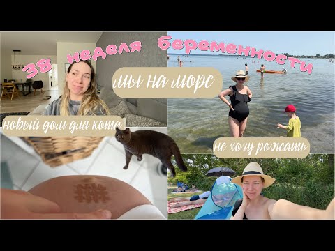 Видео: 38 неделя 🤰| тренировочные схватки | масло для родов | причины не рожать сейчас