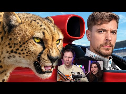 Видео: Самая Быстрая Машина в Мире vs Гепард! | РЕАКЦИЯ на MrBeast