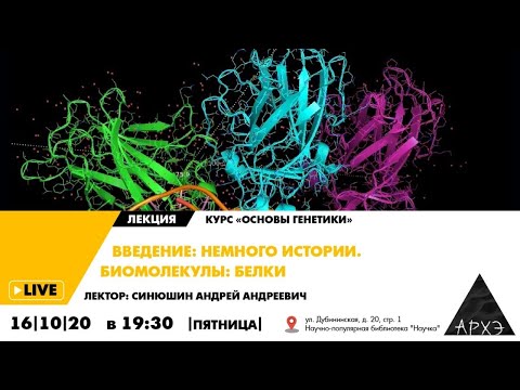 Видео: Андрей Синюшин| "Введение: немного истории. Биомолекулы: белки"