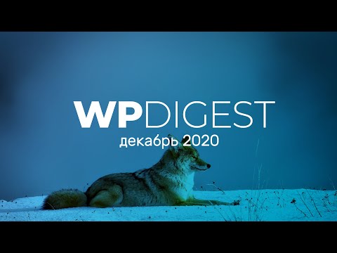 Видео: WP Digest. Декабрь 2020. Что было нового?