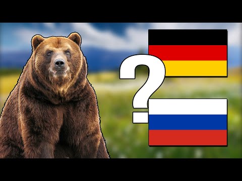 Видео: УГАДАЙ СТРАНУ ПО ЖИВОТНОМУ | ВИКТОРИНА