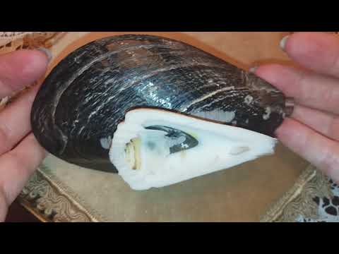 Видео: Старинный и современный перламутр