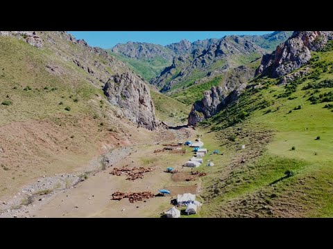 Видео: СЕЗОН В ГОРАХ | ДИКАЯ ПРИРОДА И БОРЬБА - ДОКУМЕНТАЛЬНЫЙ ФИЛЬМ - 4K