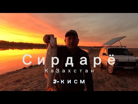 Видео: Сирдарё Казахстан 2 кисм