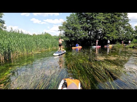 Видео: Река Ранова на SUP 17062023