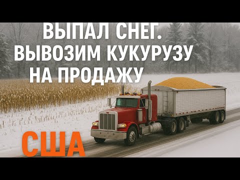 Видео: Снег выпал внезапно! Как мы вывозим кукурузу в Мичигане.