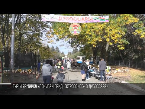 Видео: День Дубоссар: праздничный репортаж