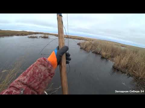 Видео: Натаскал карасей. Ветер сбивал с ног. Рыбалка на паук подъемник.