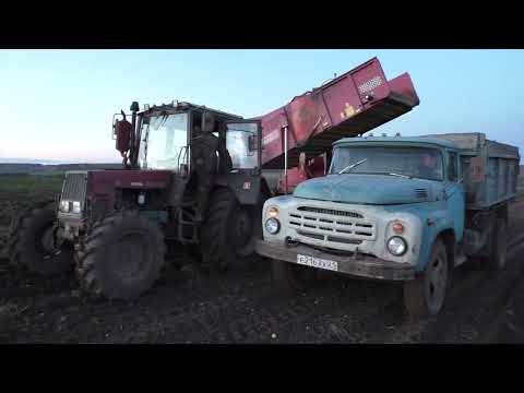 Видео: Погода не дает убрать картофель! Уборка картофеля глубокой осенью через боль и страдания!