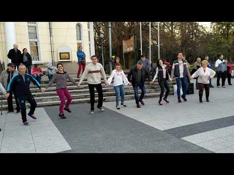 Видео: Хоро Пиринска четворка