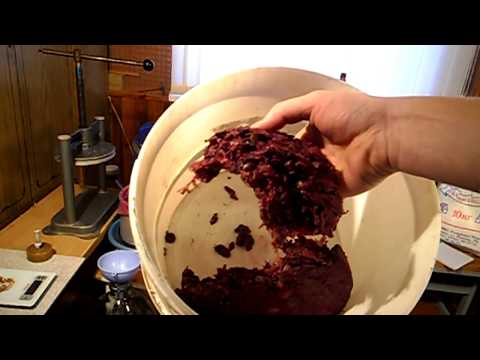 Видео: самодельное домашнее вино из изабеллы ч2