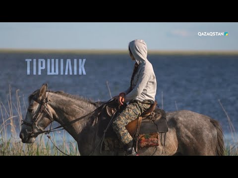 Видео: Жылқышы қыз Асыл Есенғалиқызы І «Тіршілік» бағдарламасы
