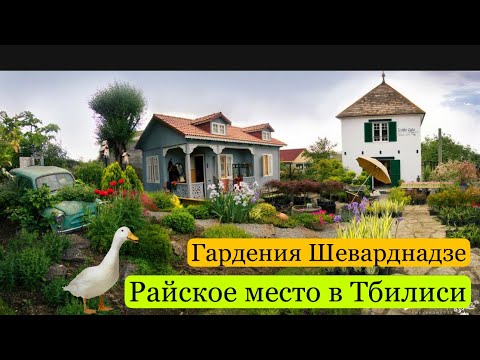 Видео: Грузия. Райское место в шумном Тбилиси. Сад Гардения Шеварднадзе. Georgia. Tbilisi.