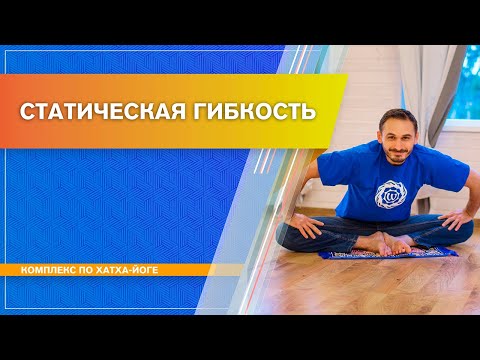 Видео: Хатха-йога в домашних условиях. Статическая гибкость. Роман Косырев