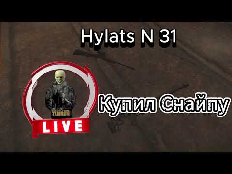 Видео: Недооцененные снайперски Hylats N 31