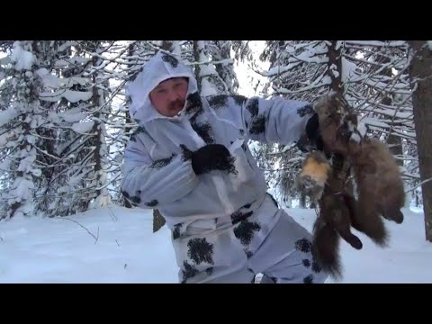 Видео: За Куницей | Новый путик | Январь 2022 |