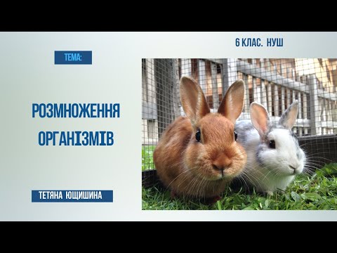 Видео: Урок 30. Розмноження організмів. 6 клас. НУШ.