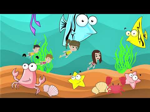 Видео: Да научим за морския свят.