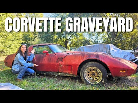 Видео: Мы нашли более 30 автомобилей Corvette за этим магазином — Cross Country Roadtrip