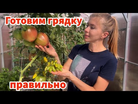 Видео: ЭТО ЛУЧШАЯ АЛЬТЕРНАТИВА ПЕРЕКОПКЕ И "ДЕЗИНФЕКЦИИ" ПОЧВЫ. Готовим грядки под томаты с осени