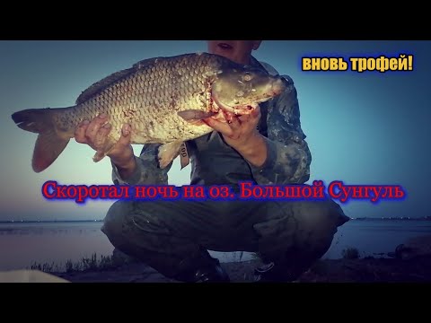 Видео: ✌️СновА кЛюНуЛ ТРОФЕЙ✌️ Рыбалка на карпа на оз. Большой Сунгуль. Скоротал ночь !👍Неожиданный УЛОВ!