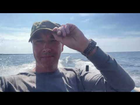 Видео: онега