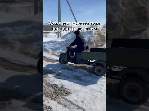 Видео: Мотороллер Муравей тоже станет электрическим. Лучший помощник на плантации.