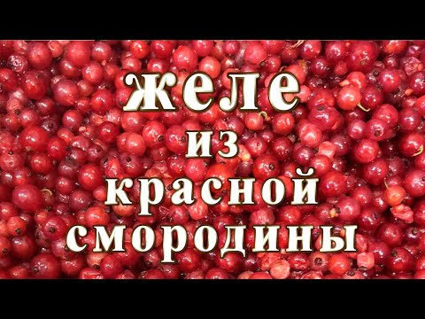 Видео: Желе из красной смородины. Правильный рецепт!